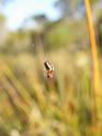 ZZ_ZZXYX_D5974_Z_75_Home Wendy Eiby_Australie